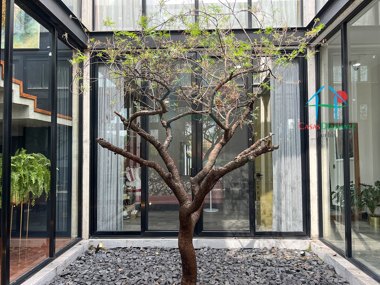 Tlaxcalancingo Casa Maka - Jardín interior 1
